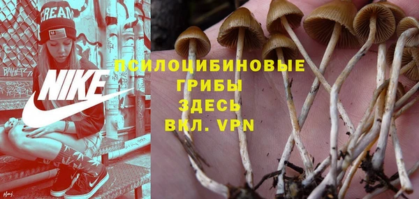 mdpv Медногорск