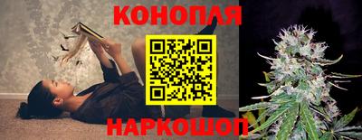 гидропоника Будённовск