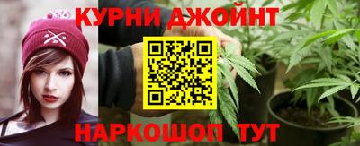 гидропоника Будённовск