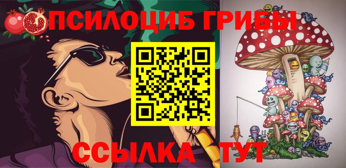 где купить наркоту  Псилоцибиновые грибы Psilocybe  Вход с VPN  Выкса  Псилоцибиновые грибы GOLDEN TEACHER 
